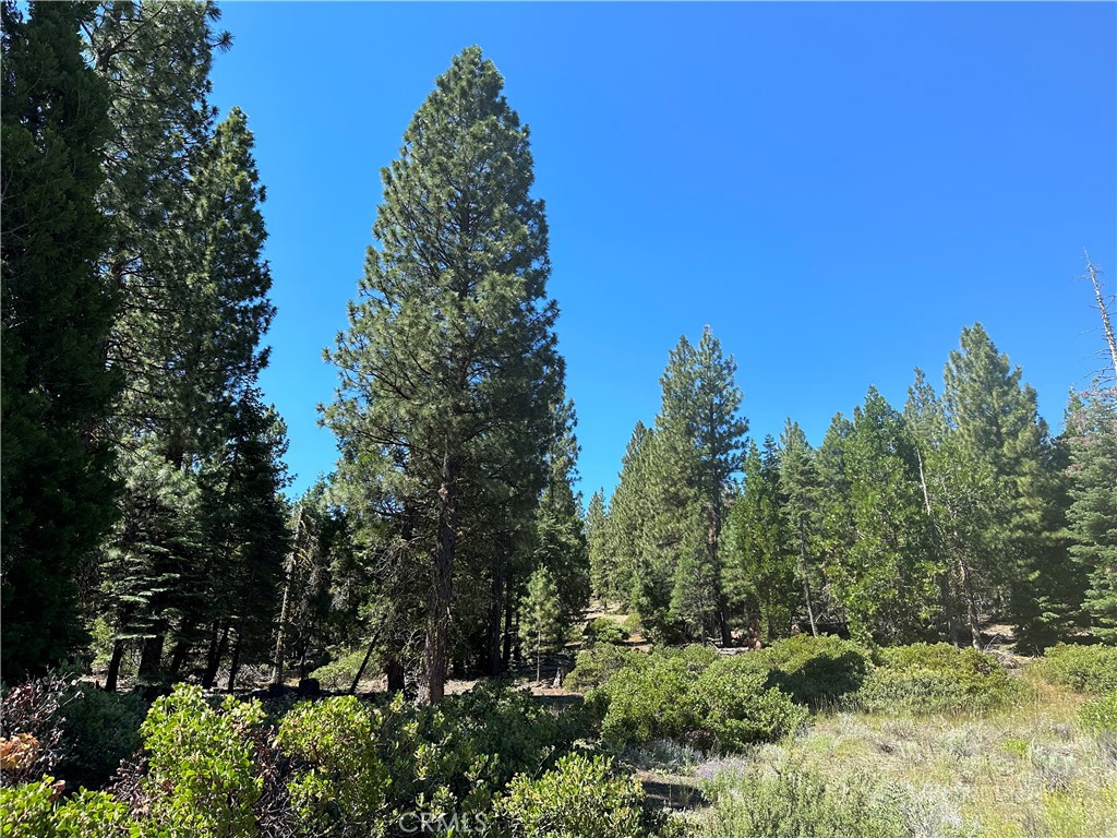 1 Canyon Creek Rd Property Photo 1