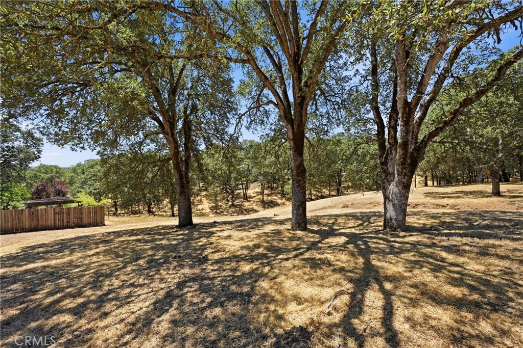 19531 Park Ridge Road Property Photo 4