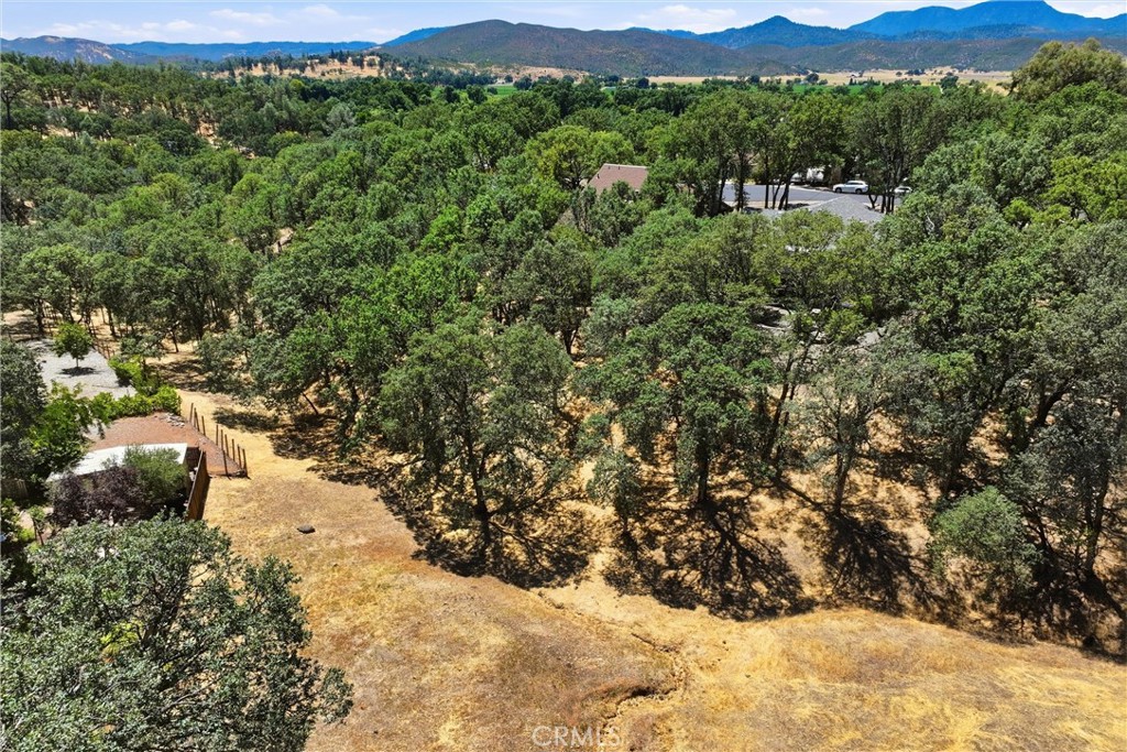 19531 Park Ridge Road Property Photo 14