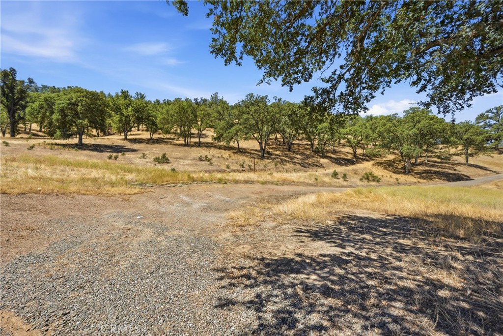 18355 E Highway 20 Property Photo 2
