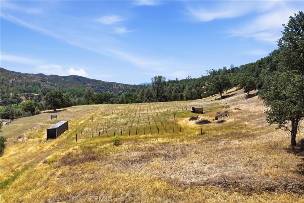 18355 E Highway 20 Property Photo 4