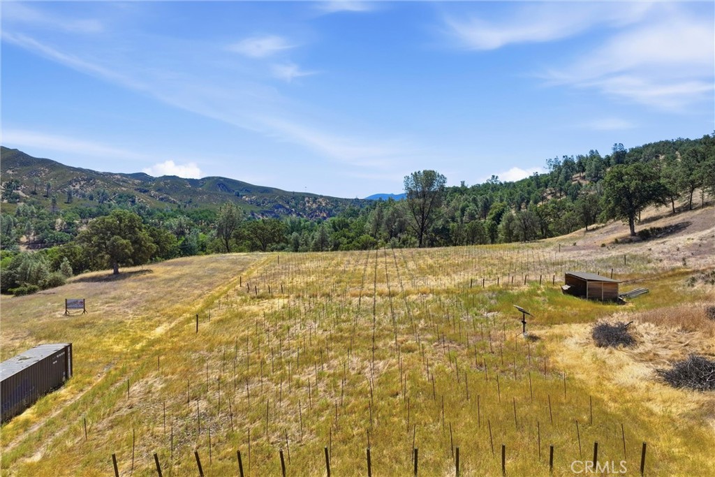 18355 E Highway 20 Property Photo 5