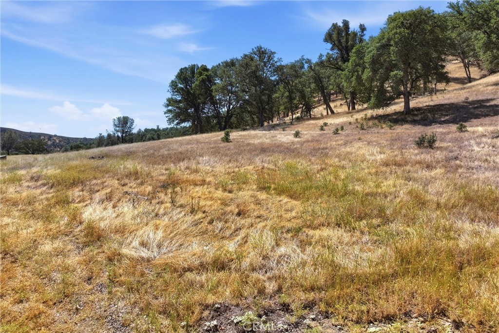 18355 E Highway 20 Property Photo 7