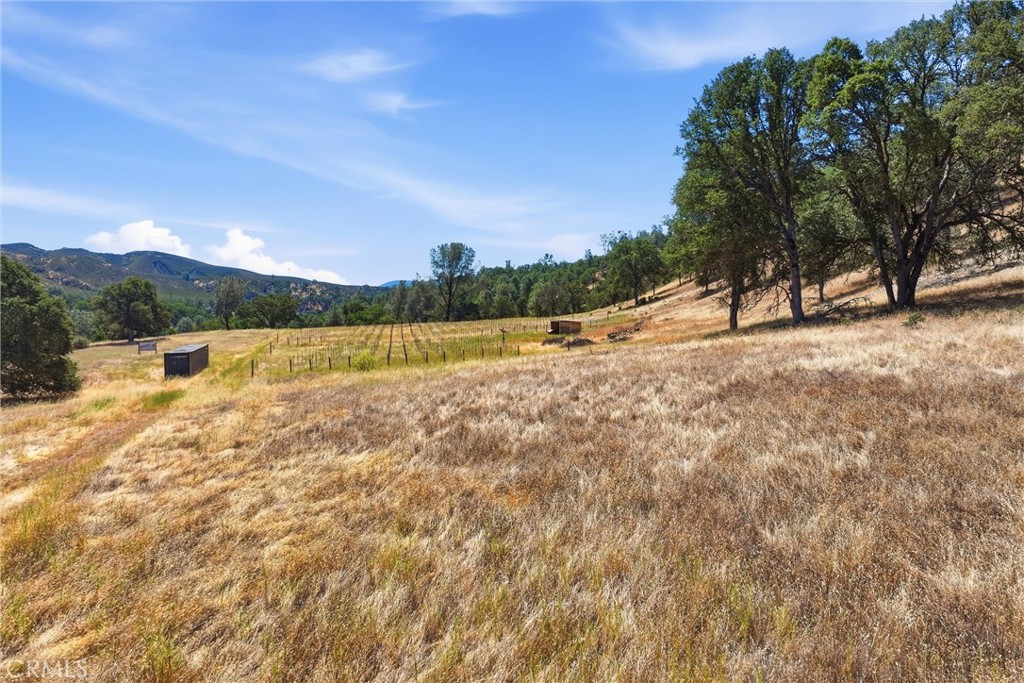 18355 E Highway 20 Property Photo 8