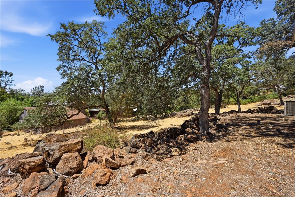 18649 Deer Hill Property Photo 43