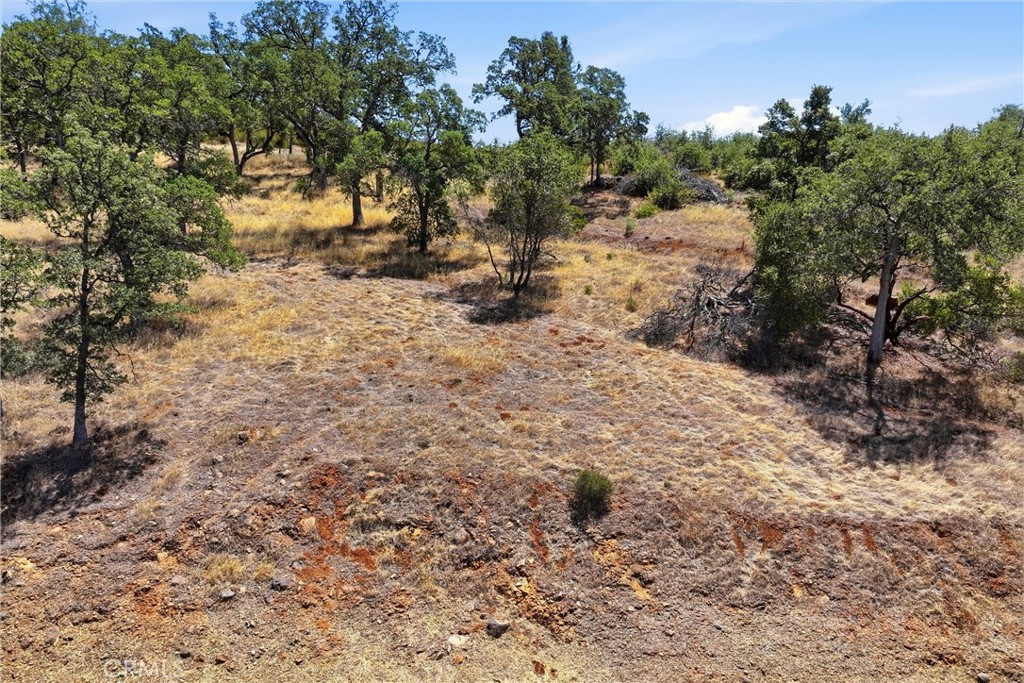 18050 Ranch Road Property Photo 5