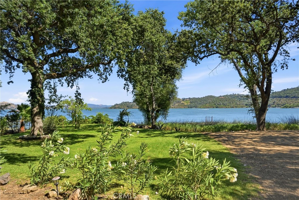 8914 Soda Bay Property Photo 4