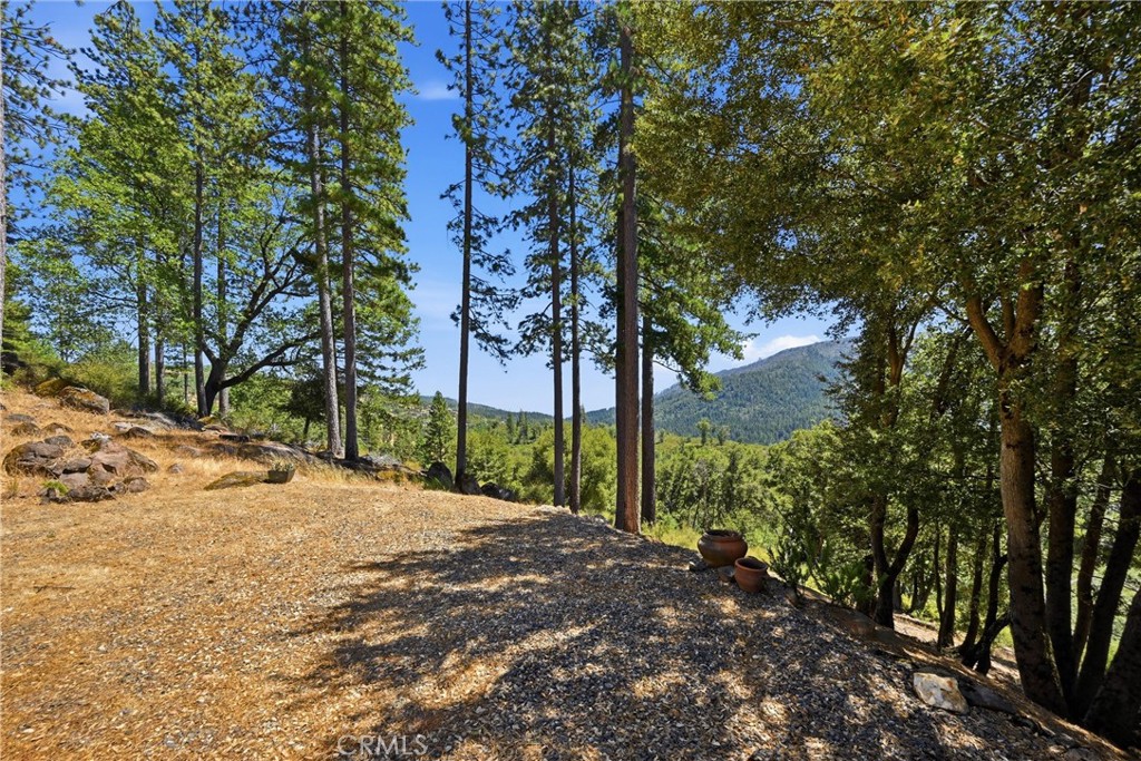 9081 Bleuss Court Property Photo 33