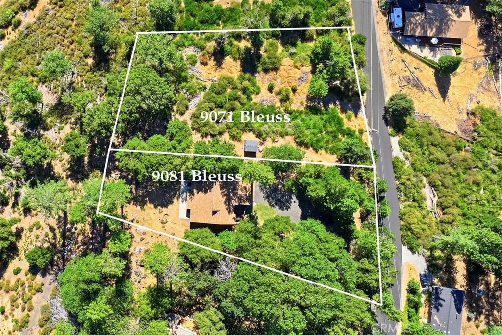 9081 Bleuss Court Property Photo 40