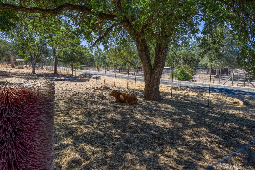 20766 Yankee Valley Property Photo 43