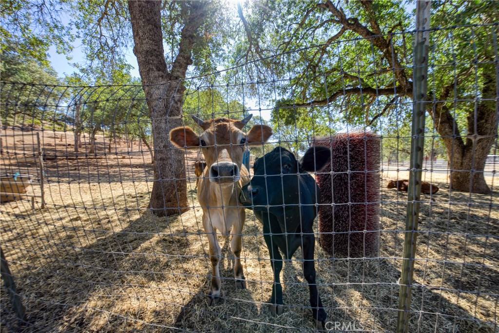 20766 Yankee Valley Property Photo 45