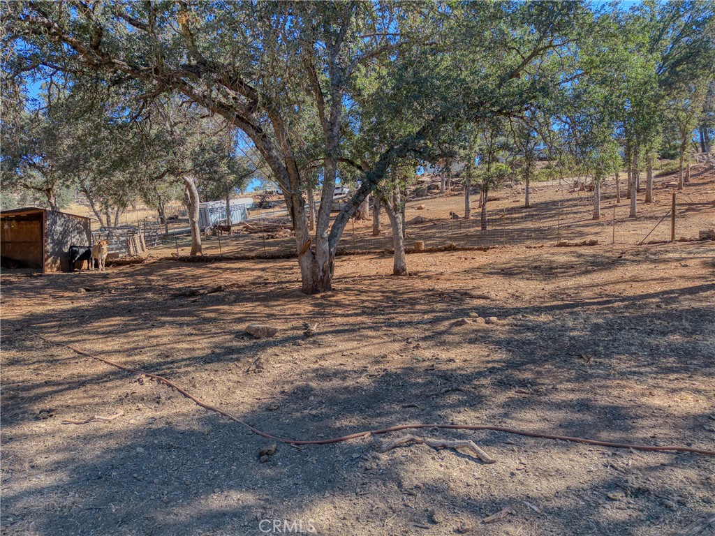 20766 Yankee Valley Property Photo 48