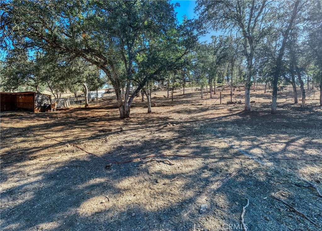 20766 Yankee Valley Property Photo 49
