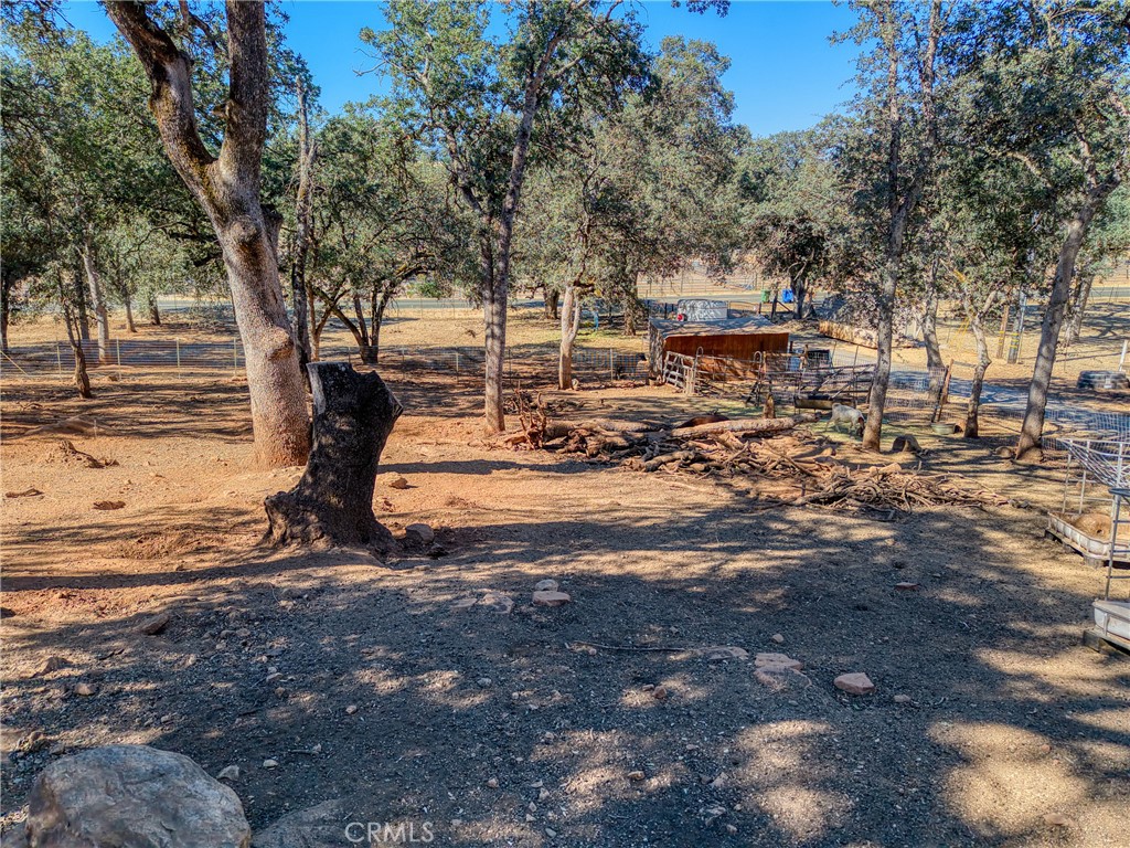 20766 Yankee Valley Property Photo 53
