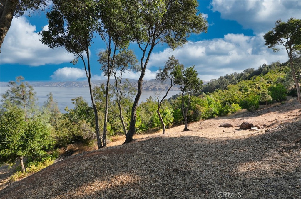 3279 Westridge Property Photo 8