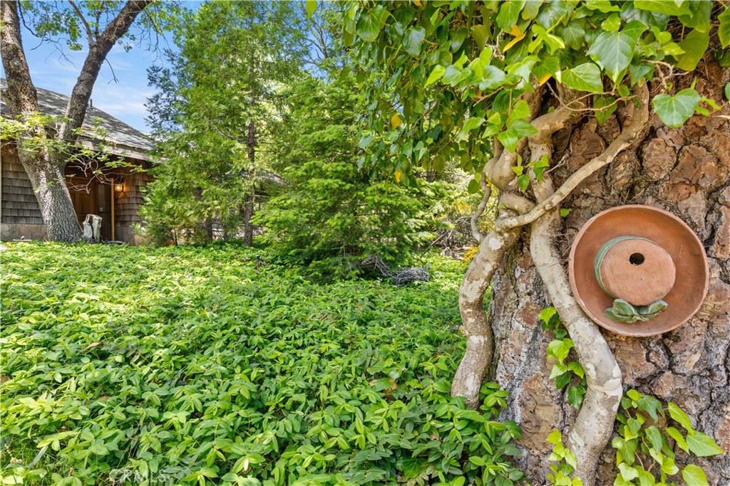 10401 Rosa Property Photo 42