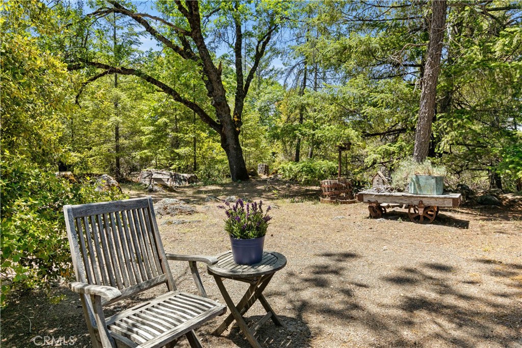 10401 Rosa Property Photo 43