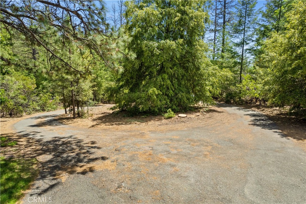 10401 Rosa Property Photo 44