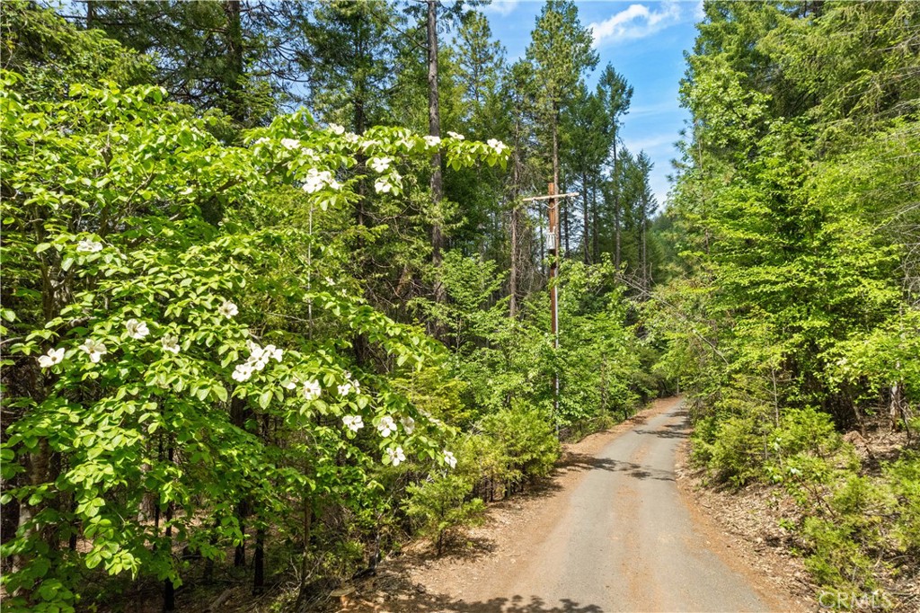 10401 Rosa Property Photo 49