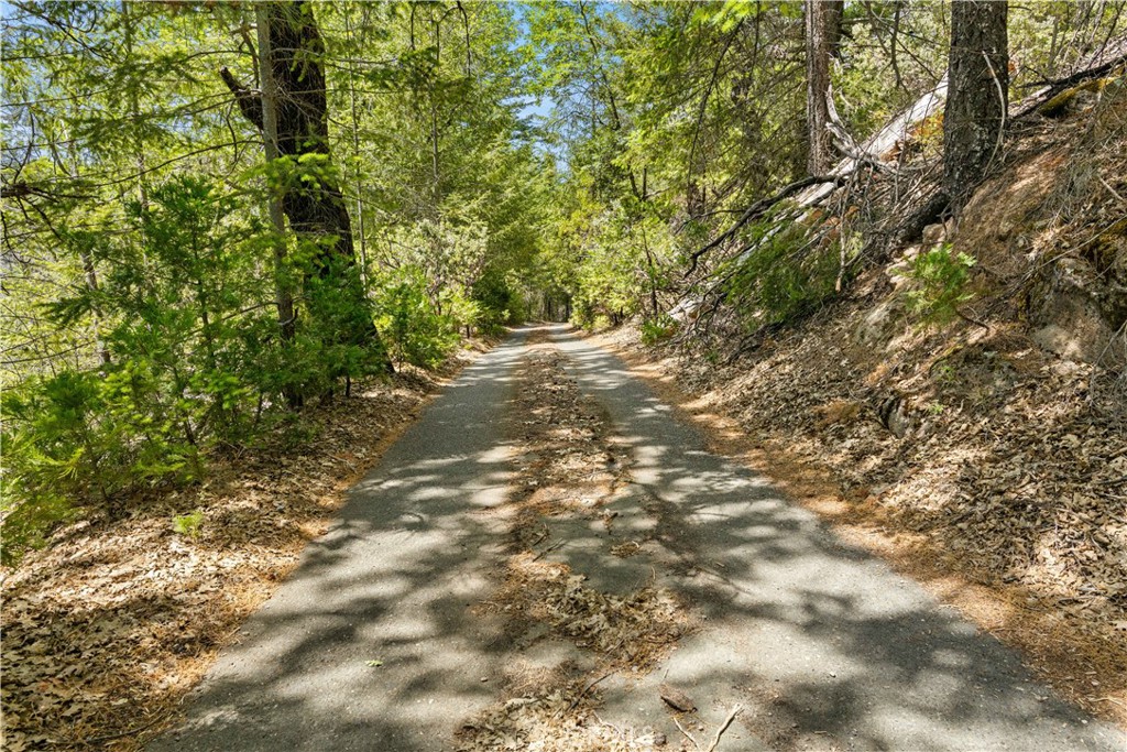 10401 Rosa Property Photo 50