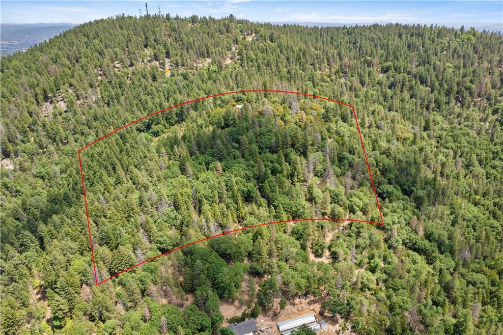 10401 Rosa Property Photo 74