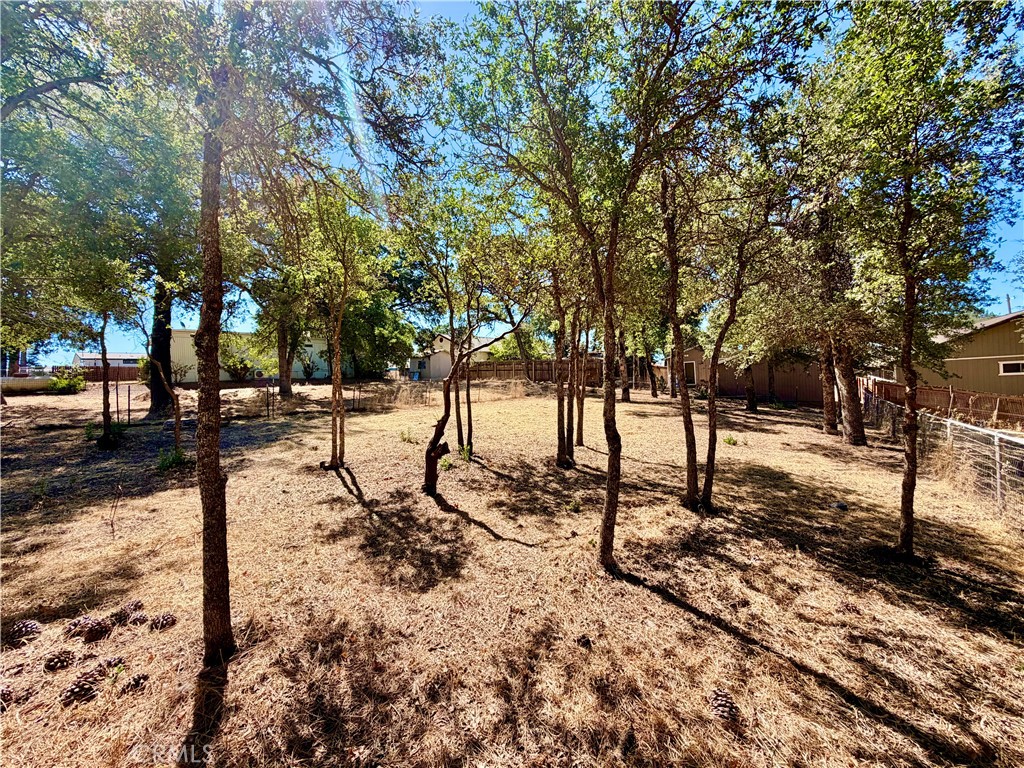 15939 20th Property Photo 6