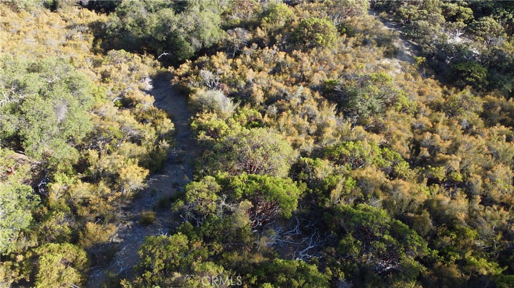 29956 Booth Crossing Road Property Photo 2