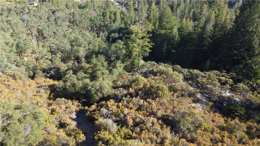29956 Booth Crossing Road Property Photo 3
