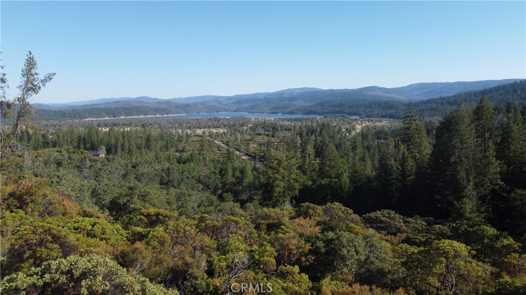 29956 Booth Crossing Road Property Photo 4
