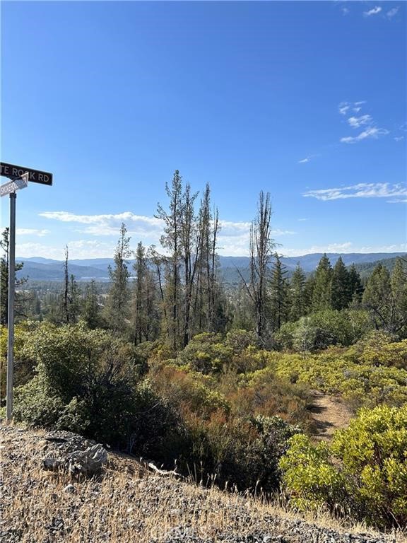 29956 Booth Crossing Road Property Photo 9