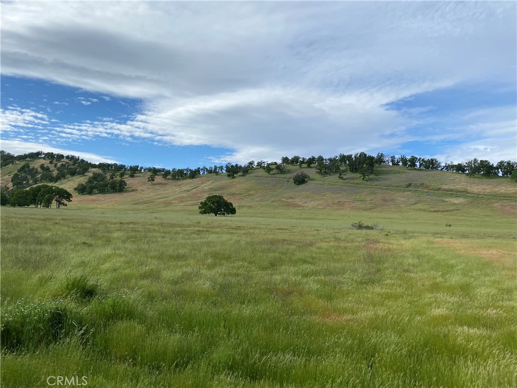 2730 Smith Lane Property Photo 4