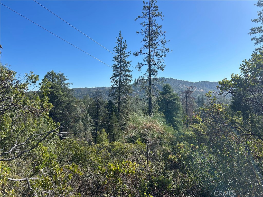 15570 Mckell Property Photo 1