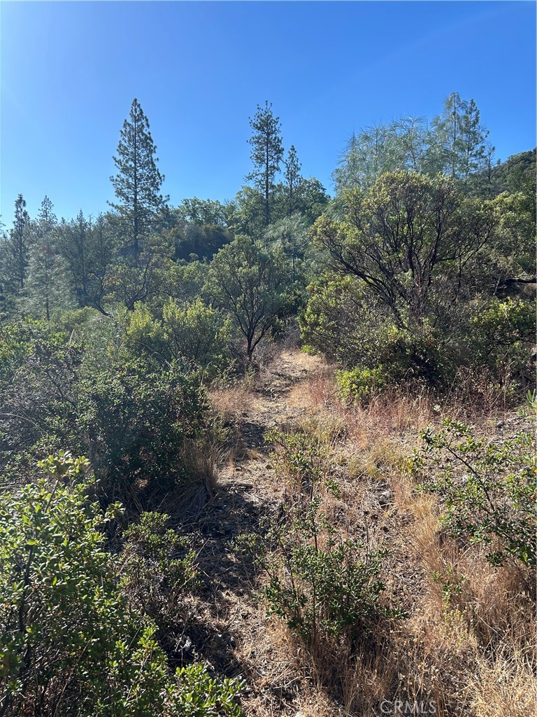 15570 Mckell Road Property Photo 1