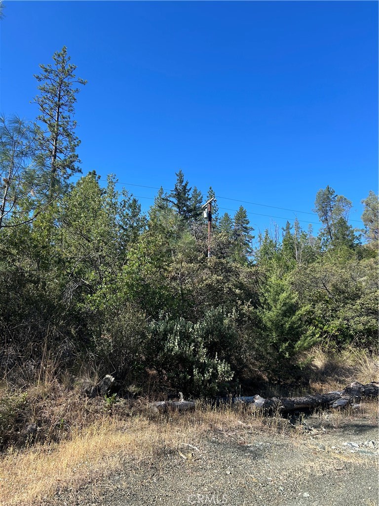 15570 Mckell Road Property Photo 2