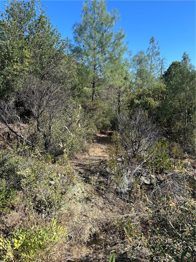 15570 Mckell Road Property Photo 4