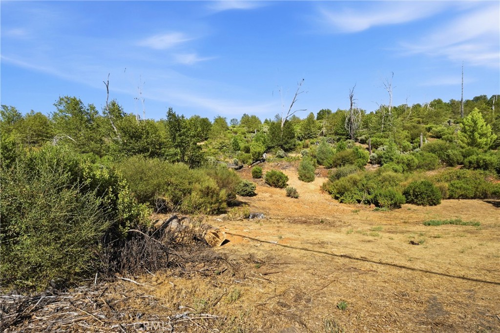 15250 Evergreen Property Photo 2