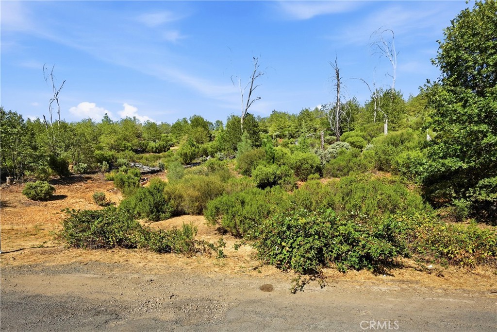 15250 Evergreen Property Photo 3