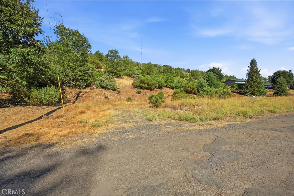 15250 Evergreen Property Photo 4