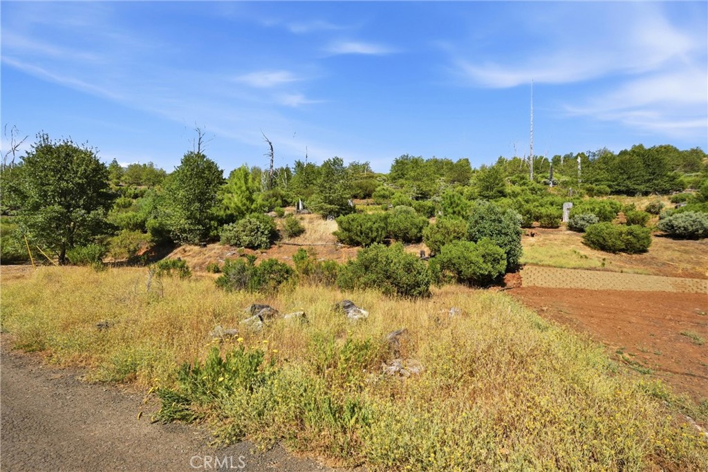 15250 Evergreen Property Photo 5