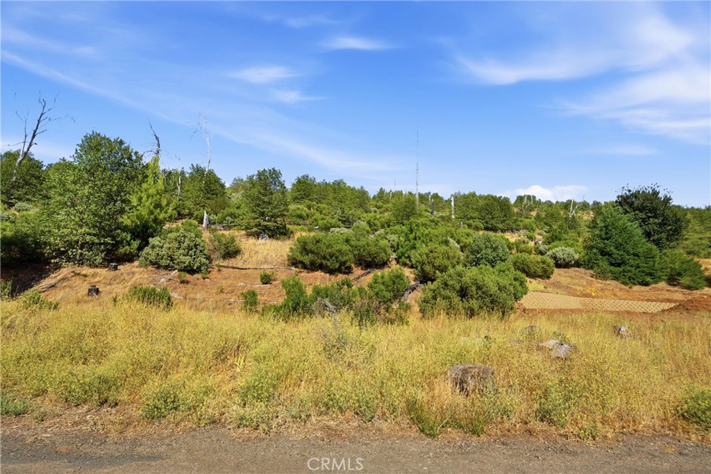 15250 Evergreen Property Photo 6