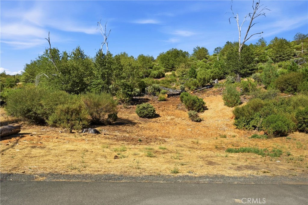 15250 Evergreen Property Photo 7