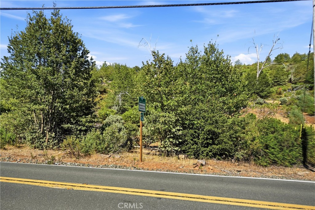 15250 Evergreen Property Photo 8
