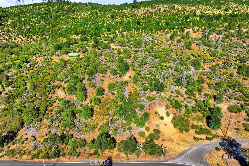15250 Evergreen Property Photo 12