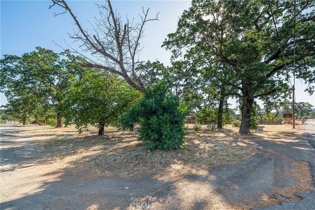 21102 Park Avenue Property Photo 2