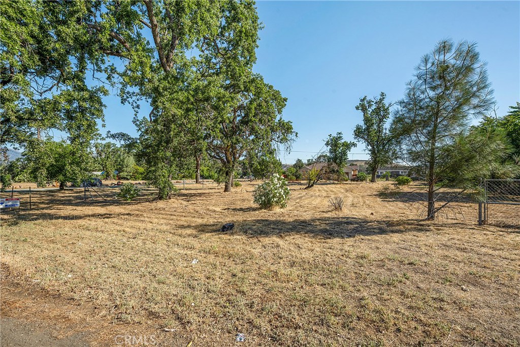 21102 Park Avenue Property Photo 5
