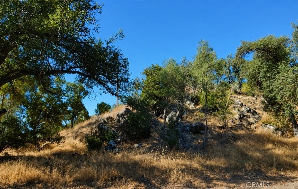 3695 Spring Valley Rd Property Photo 1