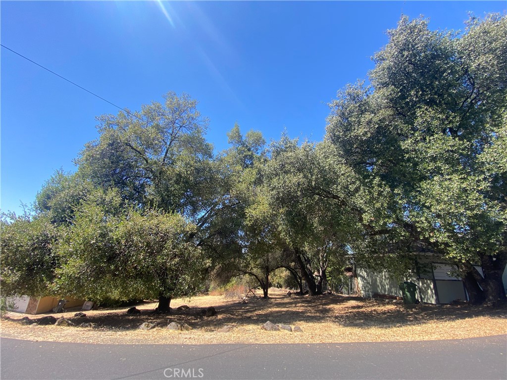 18625 Oak Grove Property Photo 1