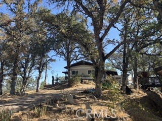 15569 Joseph Trail Property Photo 2