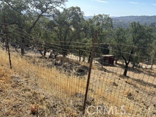 15569 Joseph Trail Property Photo 4