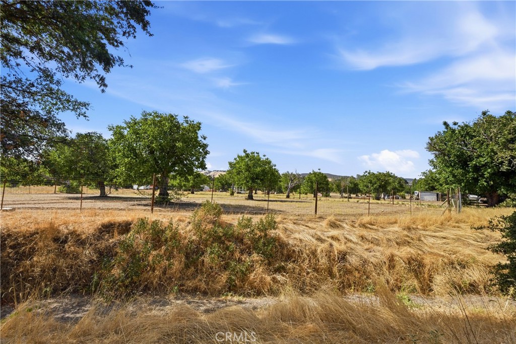 2875 Old Highway 53 Property Photo 45